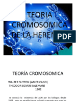 Clase II Teoria Cromosomica