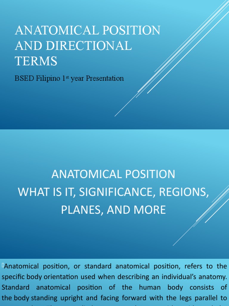 Anatomical Position and Directional Terms Biology Diagrams