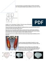 patella mentahan