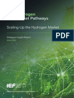 Ief Hydrogen Market Pathways Report - Scaling Up The Hydrogen Market