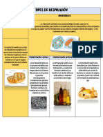 Tarea de Biolodia Act.2 2parcial