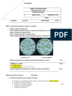 Aporte Bloque 2 8 - Bio2022 - Adaptación