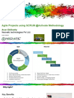 Agile Management in Activate Methodology-280622, F
