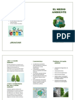 L Medio Ambiente