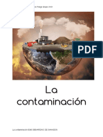 La Contaminación Difinitiva-2