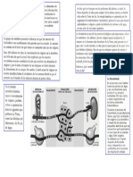 Nutricion Alternada