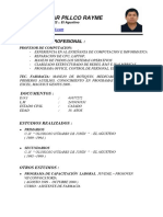 Curriculum - Jhon Cesar Pillco Rayme 2022