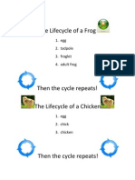 The Lifecycle of a Frog