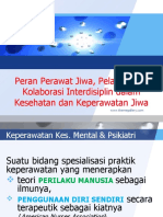 Peran Perawat Jiwa, Pelayanan & Kolaborasi Interdisiplin