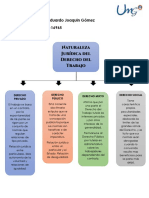 Naturaleza jurídica del Derecho del Trabajo