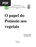 Potássio na Planta