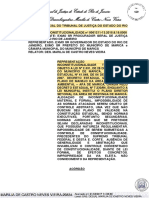 Acordao Constitucionalidade Plano de Manejo