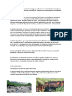 Portifolio