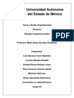 Teoria y Diseño Organizacional - Proyecto