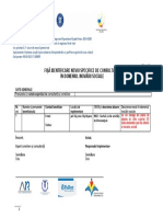 Anexa 4 - Centralizator Nevoi Consultanta IS