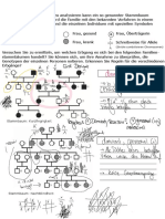 Arbeitsblätter Stammbaumanalyse