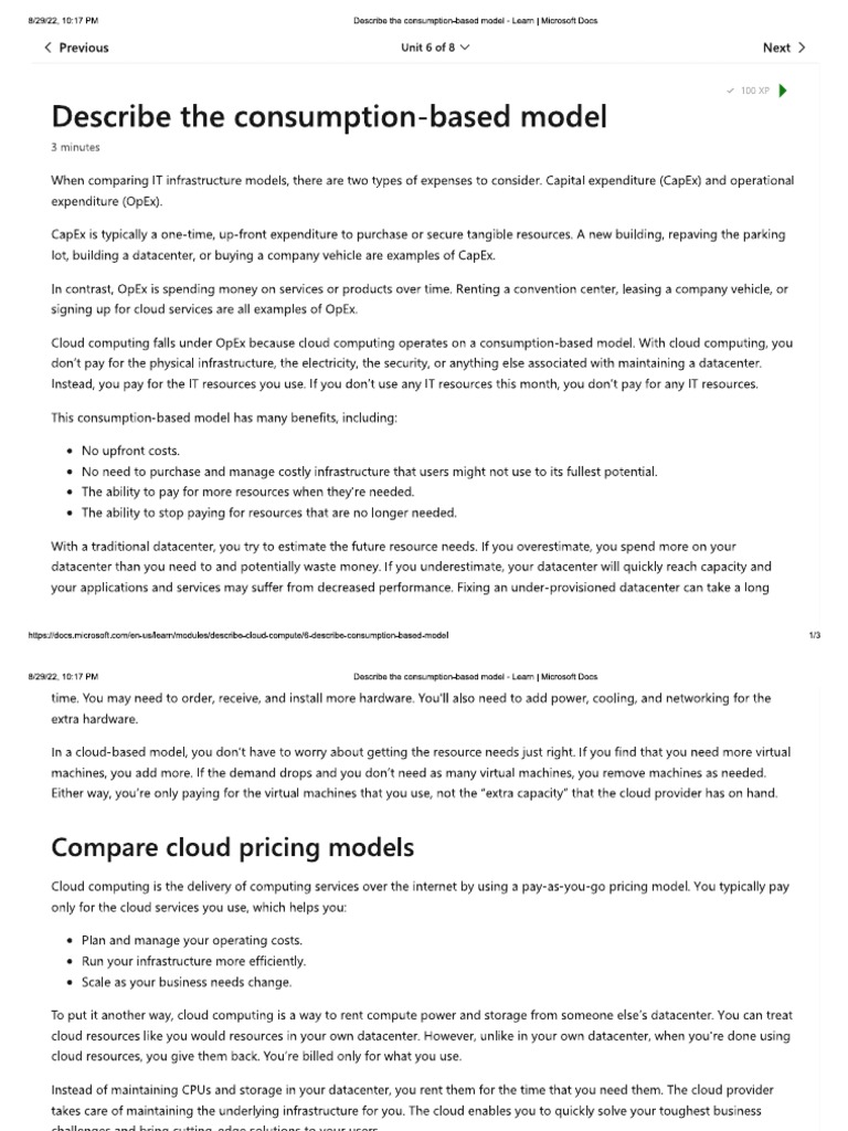Describe The Consumption-Based Model | PDF