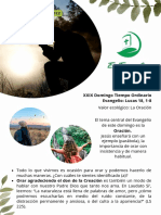 Ecoevangelio Adultos Xxix To Ciclo C (Documento A5)