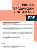 Proses Inflamasi 1