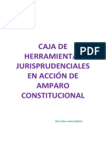 Caja de Herramientas Jurisprudenciales Amparo Constitucional