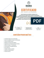 Modelo Certificado de NR 12