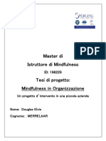 Tesi Mindfulness - Merrelaar