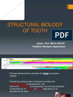 Structural Biology of Tooth