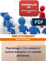 Psychological Theories of The Self
