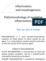 Inflammation