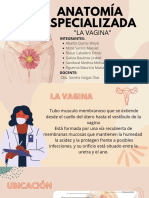 Anatomía y cultura de las nalgas | PDF | Nalgas | Anatomía humana
