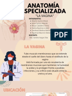 Anatomía Especializada - Grupo 1