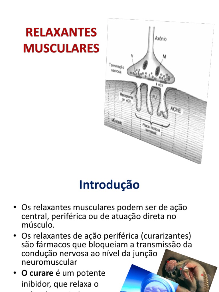 Farmacologia dos Relaxantes Musculares | PDF | Músculo esquelético ...