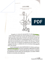 5.3 - Livro de Matos - Plantas Medicinais.(1)