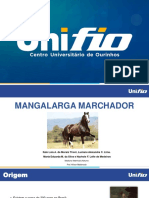 Mangalarga Marchador - Professor Alisson