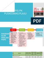 ANALIS PIS-PK PUSKESMAS PLAJU