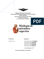 Miología Del Miembro Superior