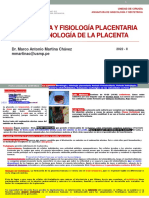 O3 MORFOLOGÍA Y FISIOLOGÍA PLACENTARIA - DR MARTINA