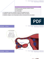 U1 Fecundacao e Desenvolvimento Embrionario