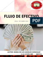 Revista de FLUJO DE EFECTIVO