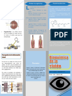 Bioquímica de La Visión