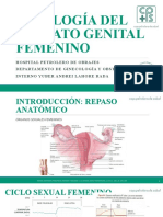 Fisiología Aparato Genital Femenino - Andrei Lahore