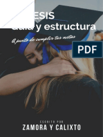 La Tesis. Guía y Estructura