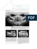 Cap. 1 - Anatomia Dental Erupção