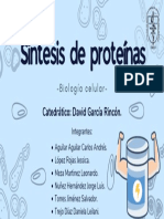 Copia de Síntesis de Proteínas - B. Celular