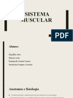 Sistema muscular: funções, grupos e tipos de músculos