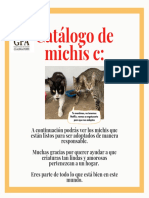 Catálogo Michis en Adopción