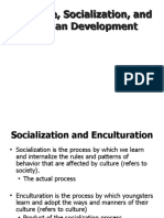 Culture and Socialization 