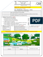 Devoir N1 - Semestre 1 - SVT 1AC Modele PDF 13
