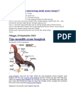 Download ayam bangkok by sigitnurs SN60077178 doc pdf