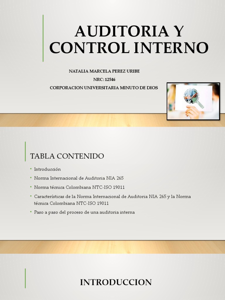 auditoria-y-control-interno-pdf-auditor-a-business
